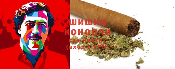 гашик Ладушкин