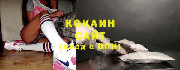 гашик Ладушкин