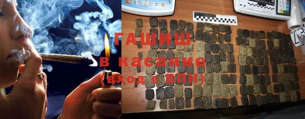 гашик Ладушкин