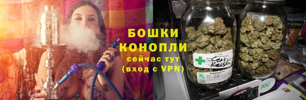 гашик Ладушкин
