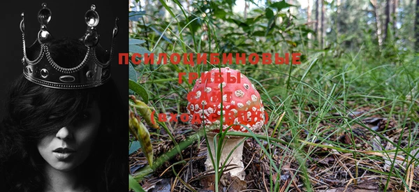 mdpv Кулебаки