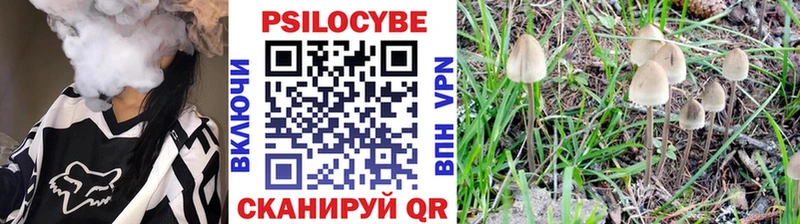 Галлюциногенные грибы мицелий  Купить где  Лиски 